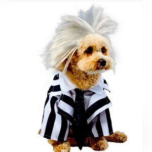Beetlejuice Dog Costume M